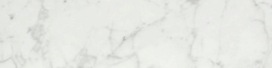 San Giulio Gioia Polished 3X12 Bullnose | Tile Center