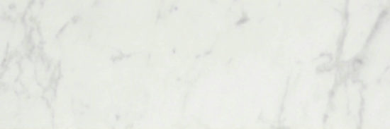 San Giulio Gioia Polished 4X12 | Tile Center