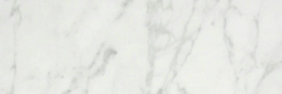 San Giulio Gioia Polished 4X12 | Tile Center