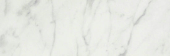 San Giulio Gioia Polished 4X12 | Tile Center