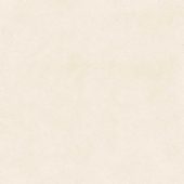 Serene Ivory 24x24 | Tile Center