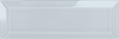 Skylight Beveled 3X9