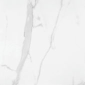 Statuario Venezia Honed 24X24 | Tile Center