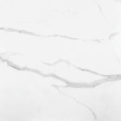 Statuario Venezia Honed 24X24 | Tile Center
