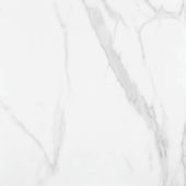 Statuario Venezia Honed 24X24 | Tile Center