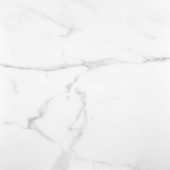 Statuario Venezia Honed 24X24 | Tile Center