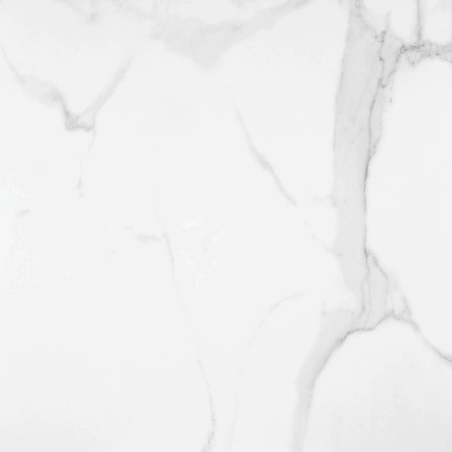 Statuario Venezia Honed 24X24 | Tile Center