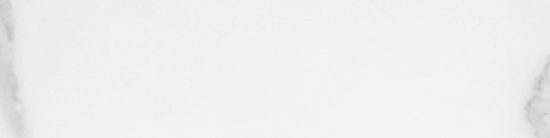 Statuario Venezia Honed 3X12 Bullnose | Tile Center