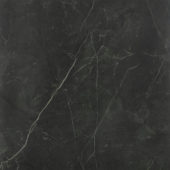 Tivoli Nero Polished 24X24 | Tile Center
