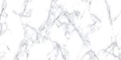 Treasure Ice White Marble 12x24 Polished | Tile Center
