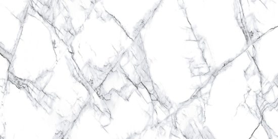 Treasure Ice White Marble 24x48 Polished | Tile Center