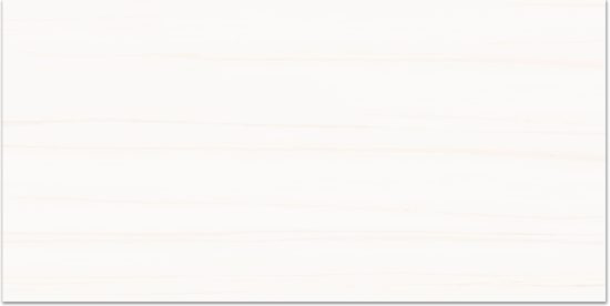 Treasure Ultimate Dolomite 12x24 Polished | Tile Center