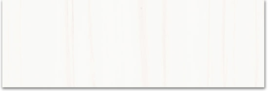 Treasure Ultimate Dolomite 4x12 Polished | Tile Center