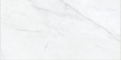 Altezza 12x24 Carrara | Tile Center