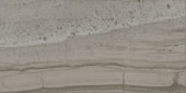 Arcadia 12X24 Trentino Polished | Tile Center