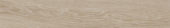 Aspen 6x36 Paper Birch | Tile Center