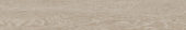 Aspen 6x36 Paper Birch | Tile Center