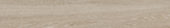 Aspen 8x48 Paper Birch | Tile Center