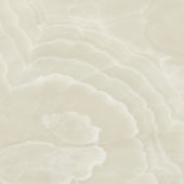 Lustra 48x48 Onyx Crema Honed | Tile Center