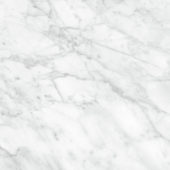 Plata 24x24 Carrara Abisso Matte | Tile Center