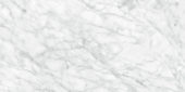 Plata 24x48 Carrara Abisso Polished | Tile Center