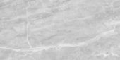 Plata 24x48 Perla Grigia Matte | Tile Center