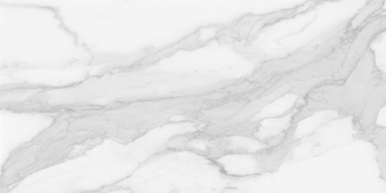 Plata 24x48 Statuario Brina Polished