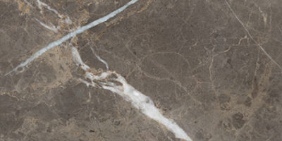 Royal Stoneworks 12X24 Regal Brown Marble Honed