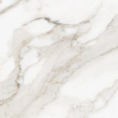 Royal Stoneworks 24X24 Calacatta Royale Vintage | Tile Center