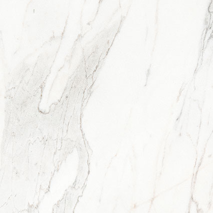 Royal Stoneworks 24X24 Crown Calacatta Honed