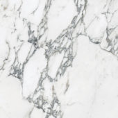 Royal Stoneworks 24X24 Italian Arabescato Honed | Tile Center