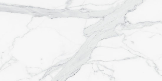 Royal Stoneworks 24X48 Grandvein White Polished | Tile Center