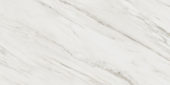 Royal Stoneworks 24X48 Italian Cream Vein Honed | Tile Center