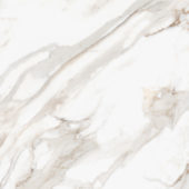 Royal Stoneworks 48X48 Calacatta Royale Honed | Tile Center
