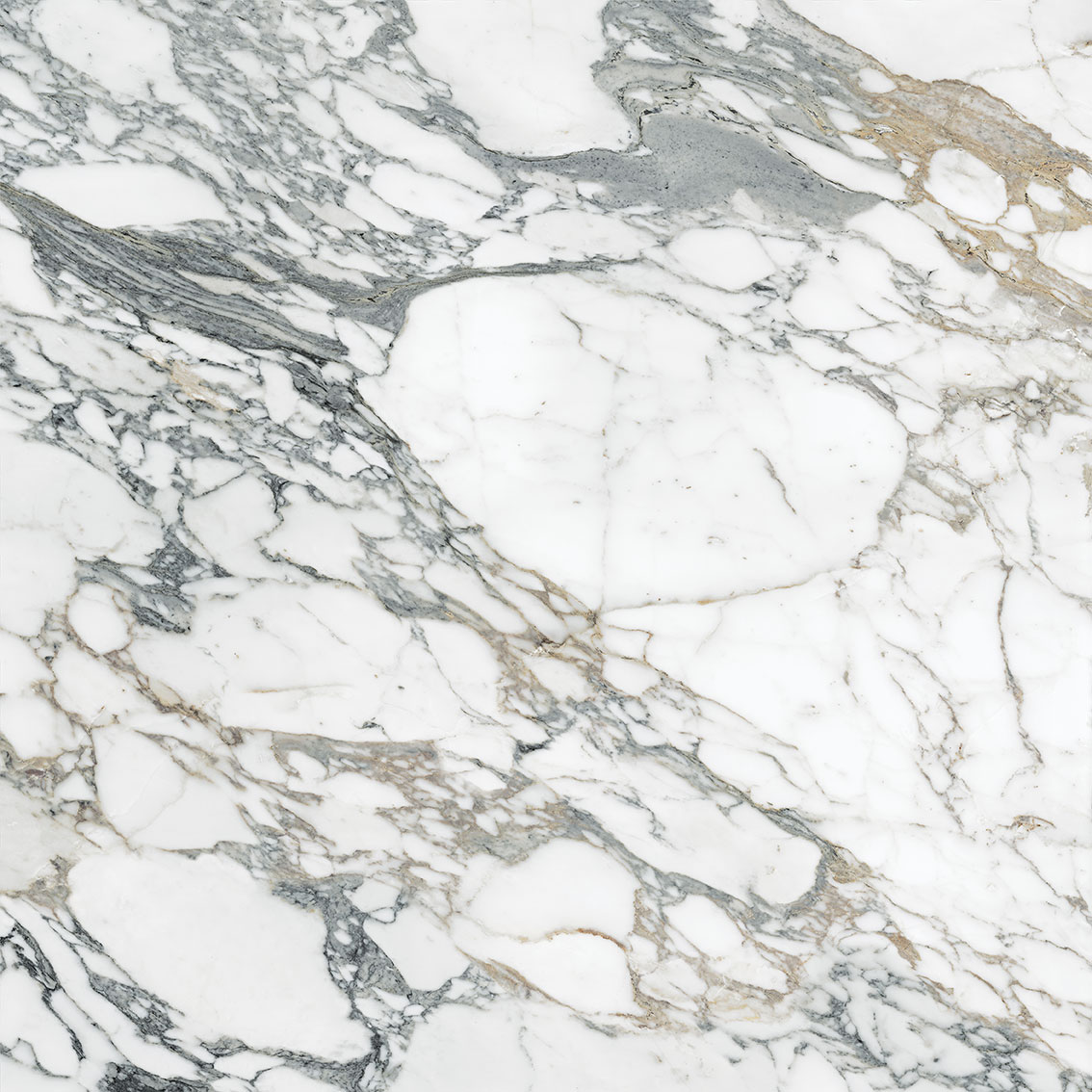 Royal Stoneworks 48X48 Italian Arabescato Honed | Tile Center