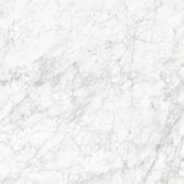 Royal Stoneworks 48X48 Old World Bianco Polished | Tile Center