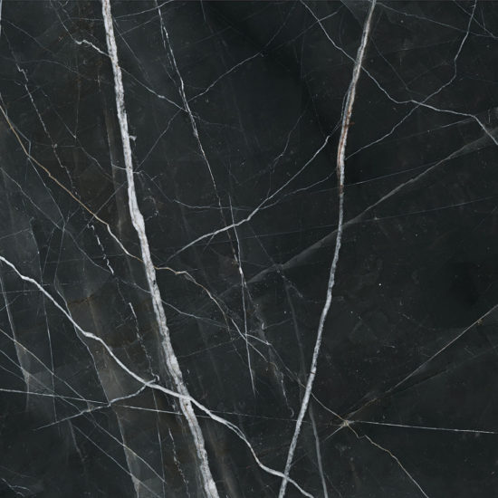 Royal Stoneworks 48X48 Regal Black Vein Honed | Tile Center