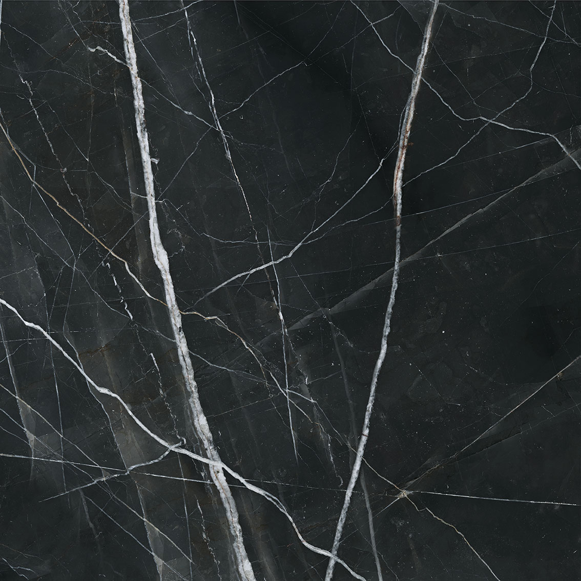 Royal Stoneworks 48X48 Regal Black Vein Polished | Tile Center