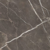Royal Stoneworks 48X48 Regal Brown Marble Honed | Tile Center
