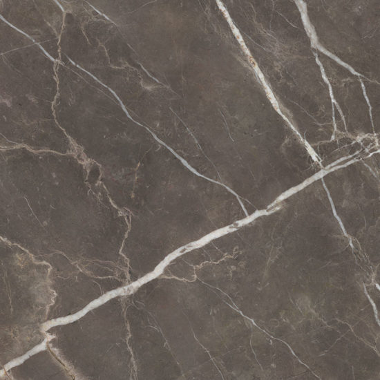 Royal Stoneworks 48X48 Regal Brown Marble Polished