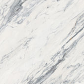 Royal Stoneworks 48X48 Regal White Vein Honed | Tile Center