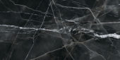 Royal Stoneworks 63X126 Regal Black Vein Honed | Tile Center