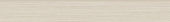 Zera Annex 3x24 Oyster Bullnose | Tile Center