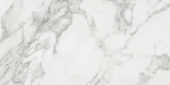 Luxury Arabescato Verona 12X24 Honed | Tile Center